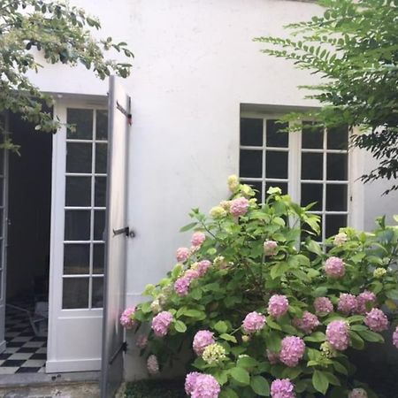 Charmante Maisonnette Jardin Triangle D'Or Bordéus Exterior foto